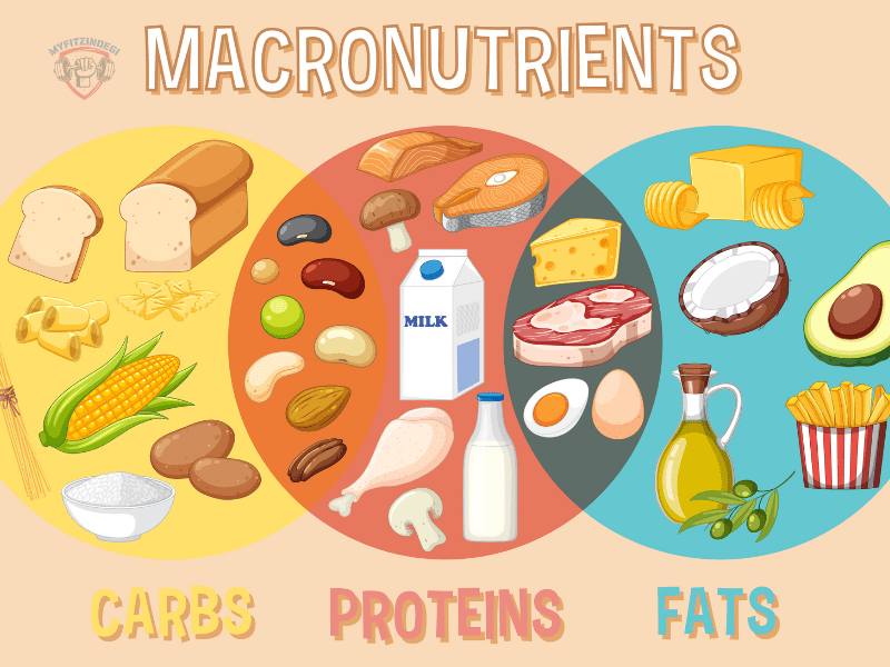 Macros in nutrition for fitness goals: protein, carbs, and healthy fats