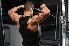 Cable face pull exercise for rear delts and posture