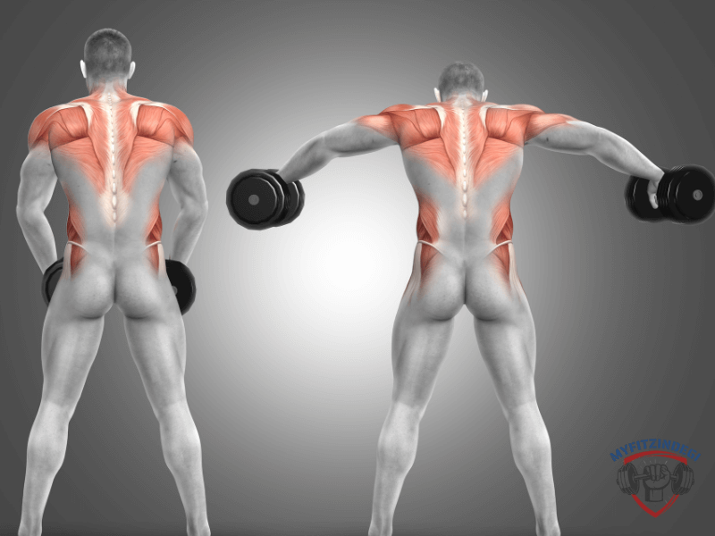 Man performing lateral raises with dumbbells for shoulder growth