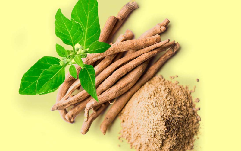 ashwaganda vs shilajit